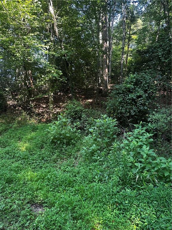 000 Walker Lane Property Photo 4