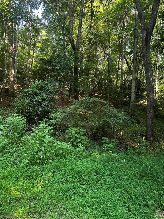 000 Walker Lane Property Photo 5