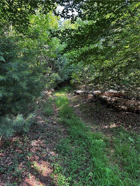 000 Walker Lane Property Photo 7