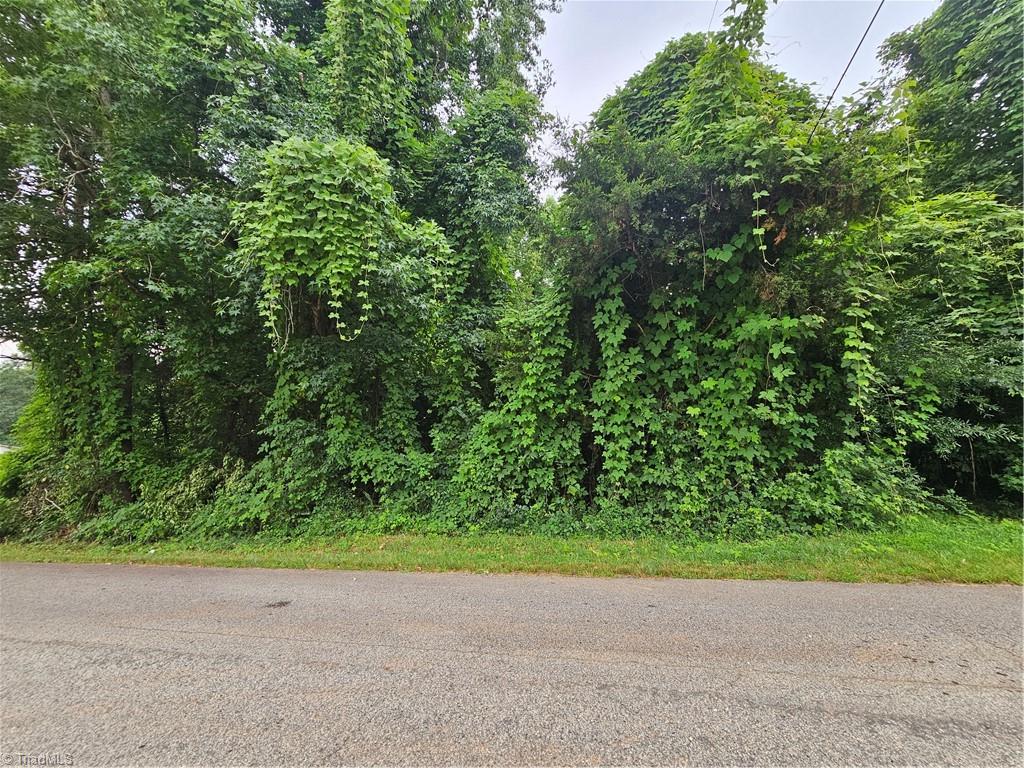 00 Walker Street Property Photo 4
