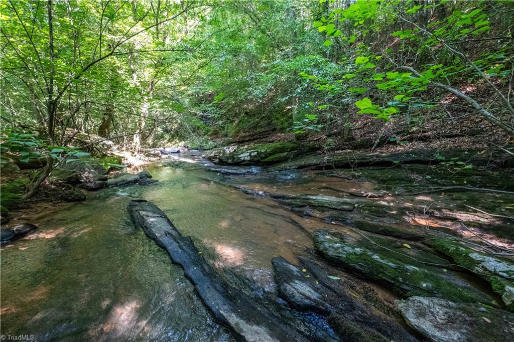 12604 Nc Highway 268 Property Photo 7