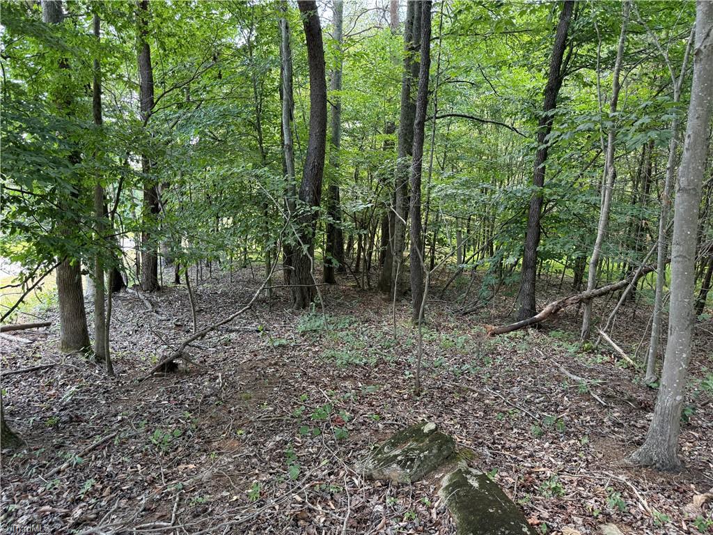 Lot 5 Purcell Road Property Photo 2