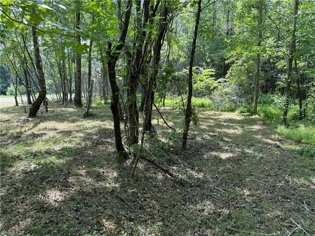 Lot 5 Purcell Road Property Photo 4