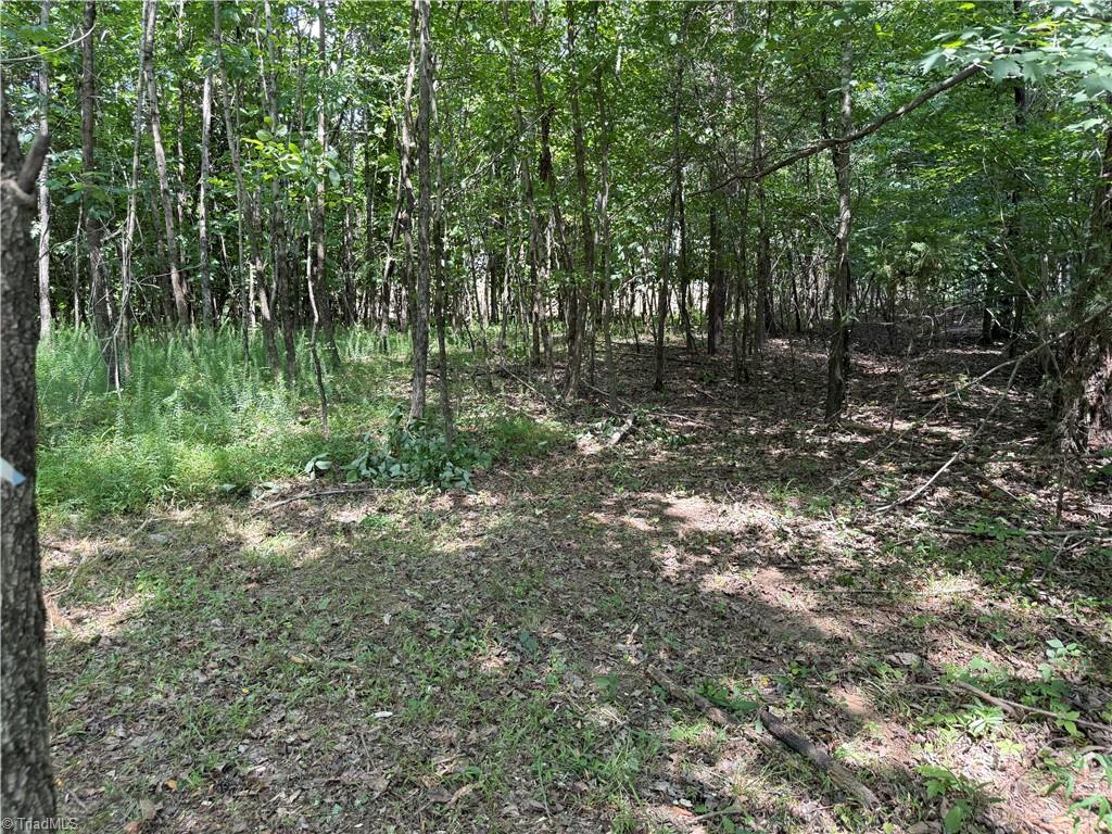 Lot 5 Purcell Road Property Photo 5