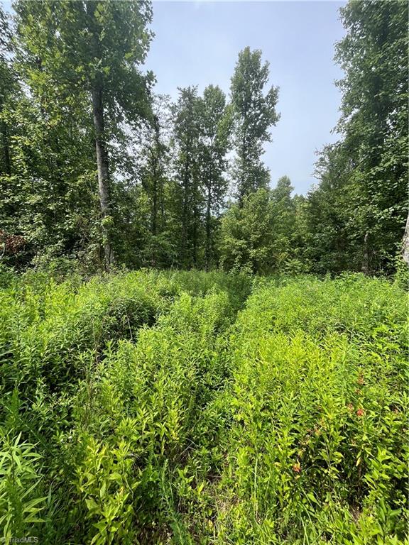 Tbd Boomer Road Property Photo 5