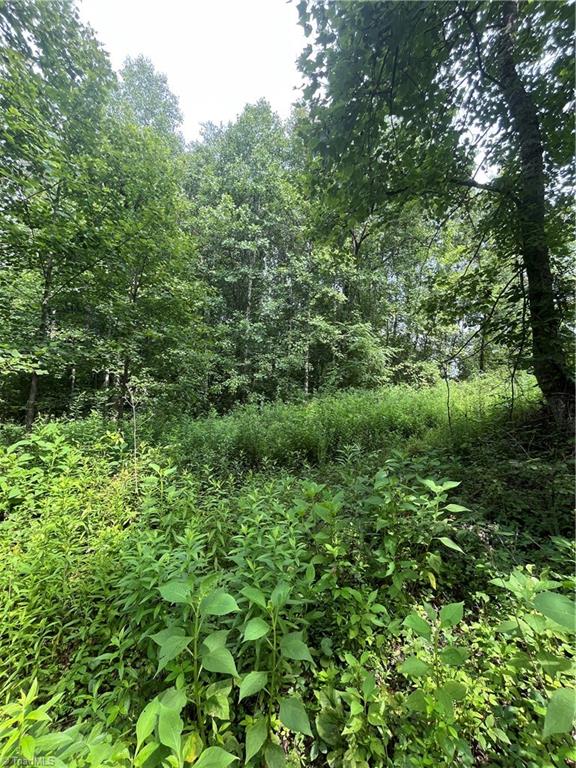 Tbd Boomer Road Property Photo 7