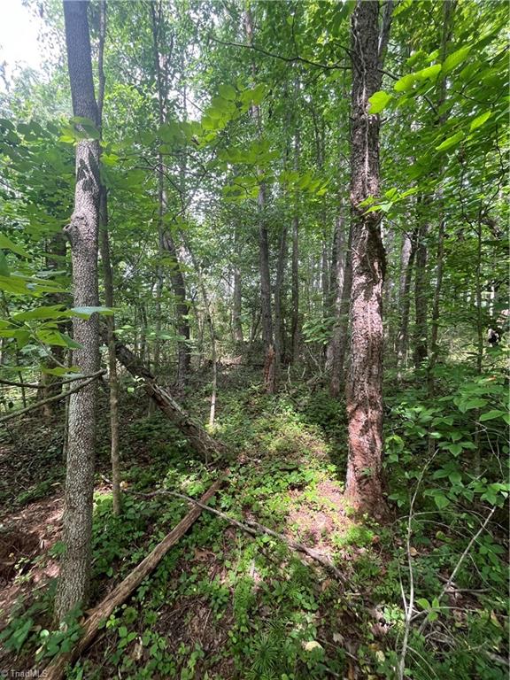 Tbd Boomer Road Property Photo 8