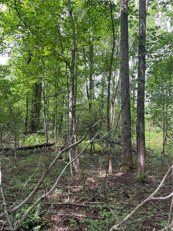 Tbd Boomer Road Property Photo 9