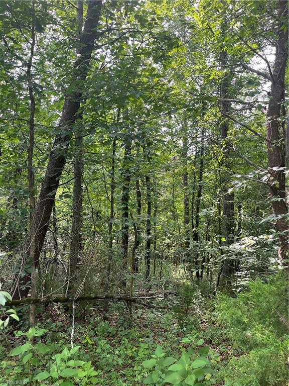 Tbd Boomer Road Property Photo 10