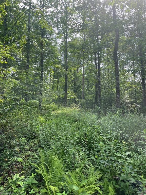 Tbd Boomer Road Property Photo 11