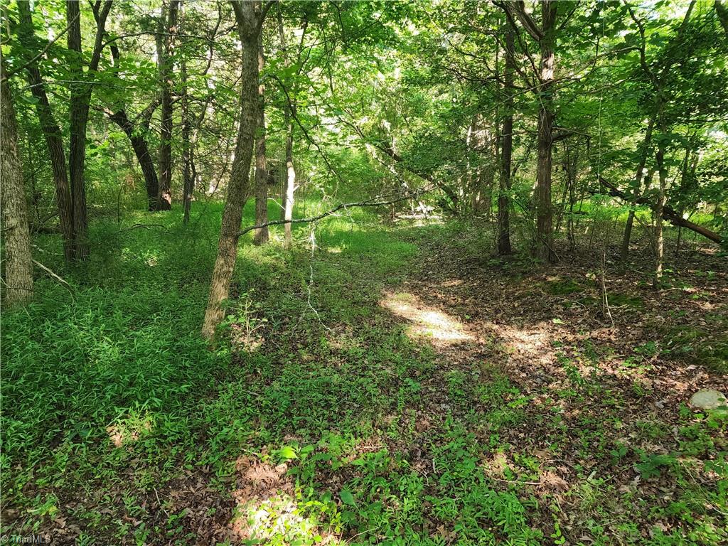 5500 Pisgah Covered Bridge Road Property Photo 6