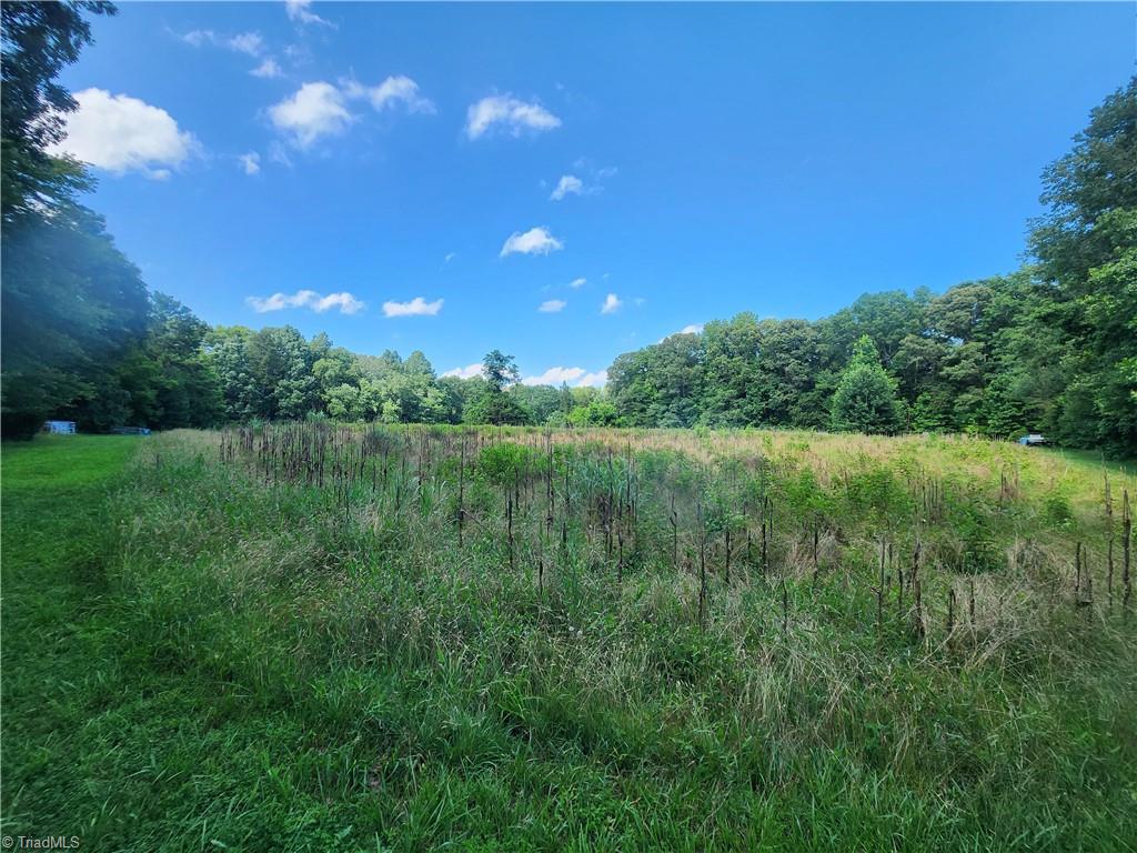 5500 Pisgah Covered Bridge Road Property Photo 8