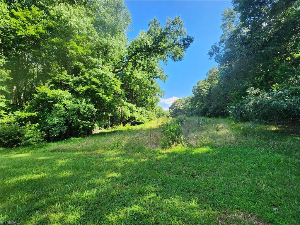 5500 Pisgah Covered Bridge Road Property Photo 9