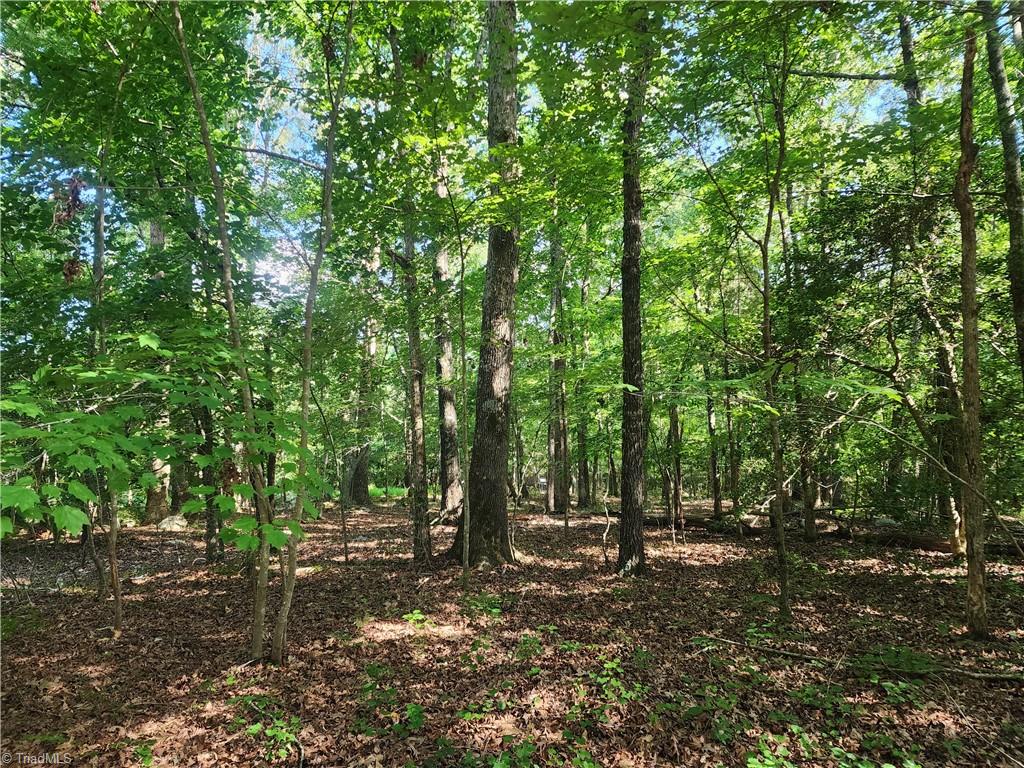 5500 Pisgah Covered Bridge Road Property Photo 10