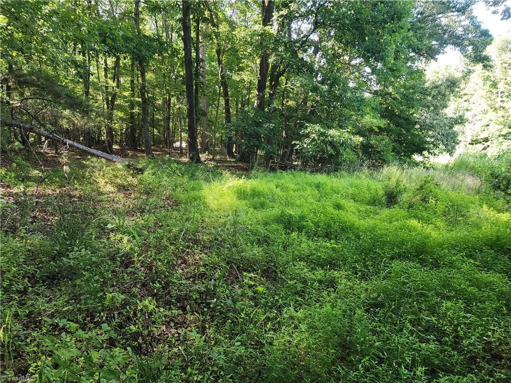 5500 Pisgah Covered Bridge Road Property Photo 12