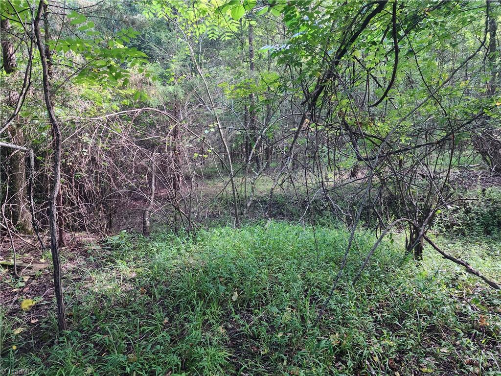 5500 Pisgah Covered Bridge Road Property Photo 14