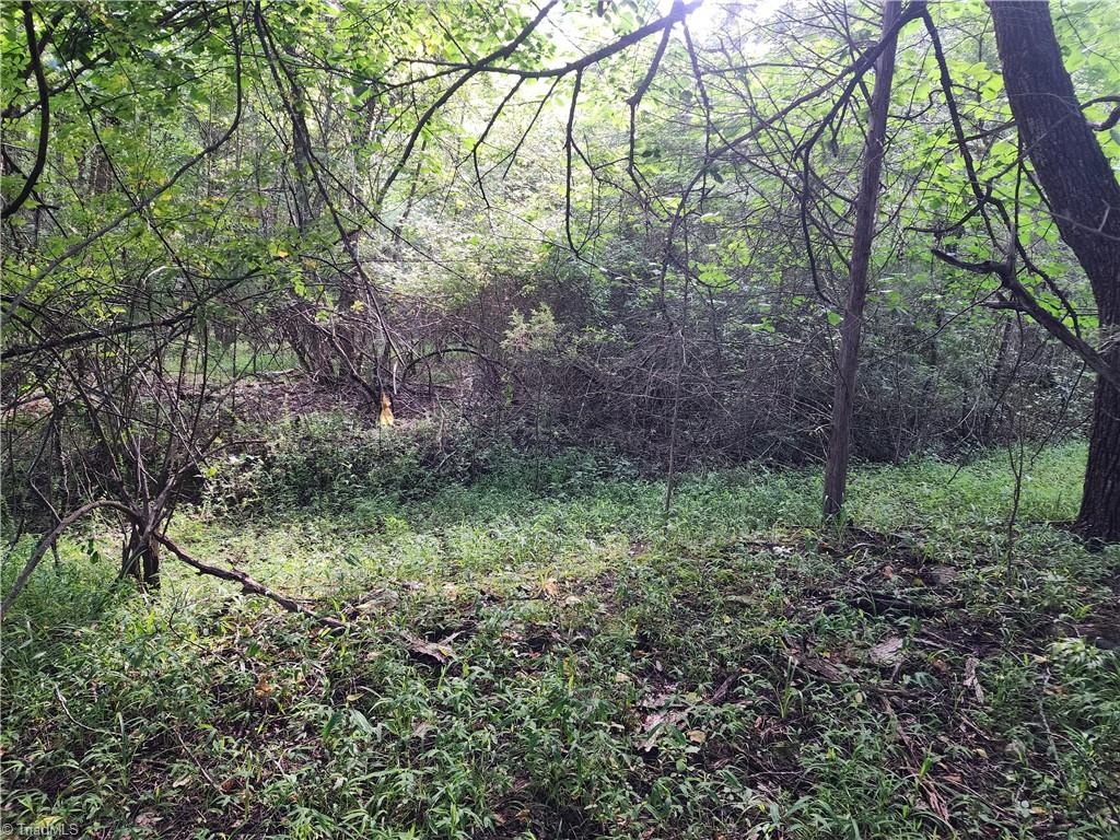 5500 Pisgah Covered Bridge Road Property Photo 15