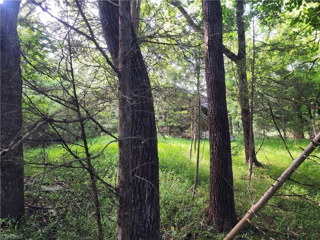 5500 Pisgah Covered Bridge Road Property Photo 16