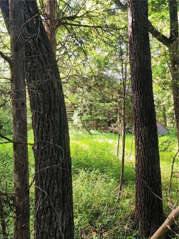 5500 Pisgah Covered Bridge Road Property Photo 17