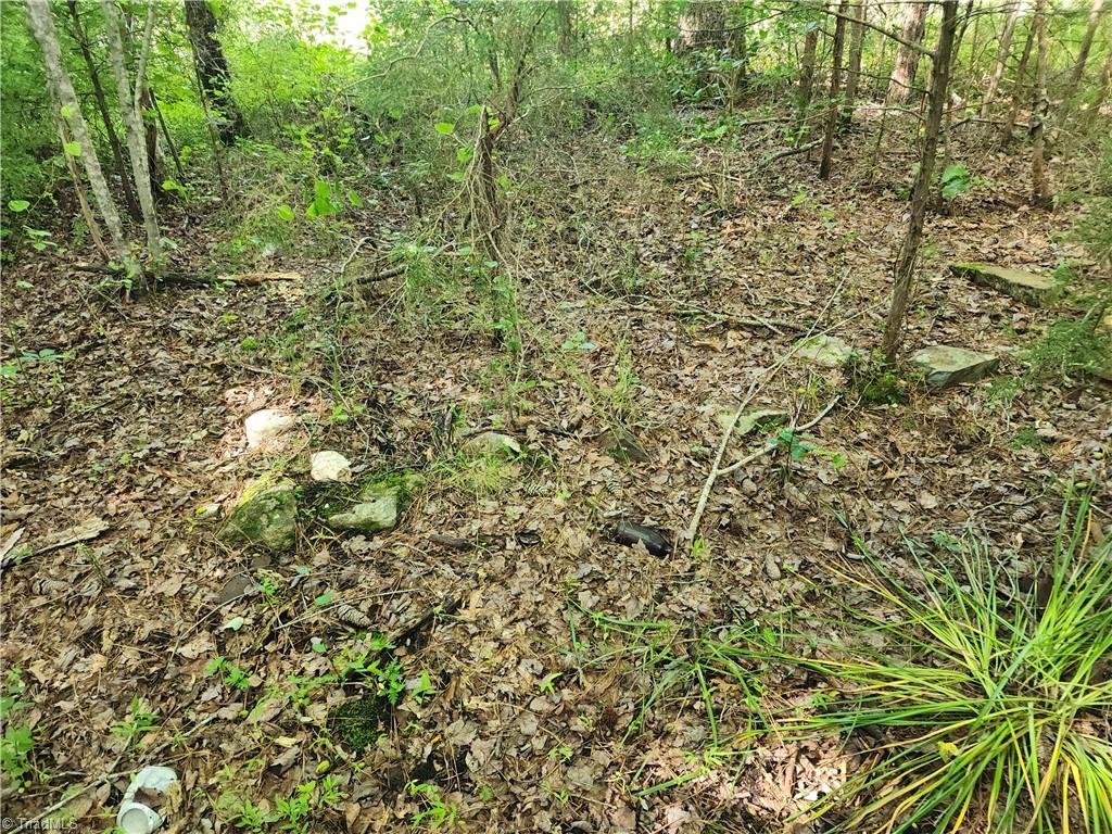 5500 Pisgah Covered Bridge Road Property Photo 18