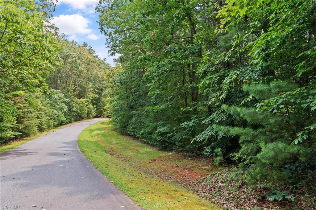 Tbd Malone Way Property Photo 7