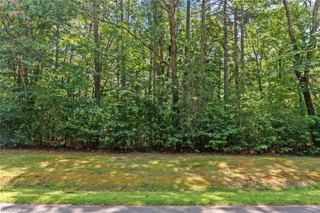 Tbd Malone Way Property Photo 9