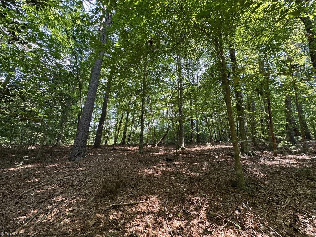 Tbd Malone Way Property Photo 12