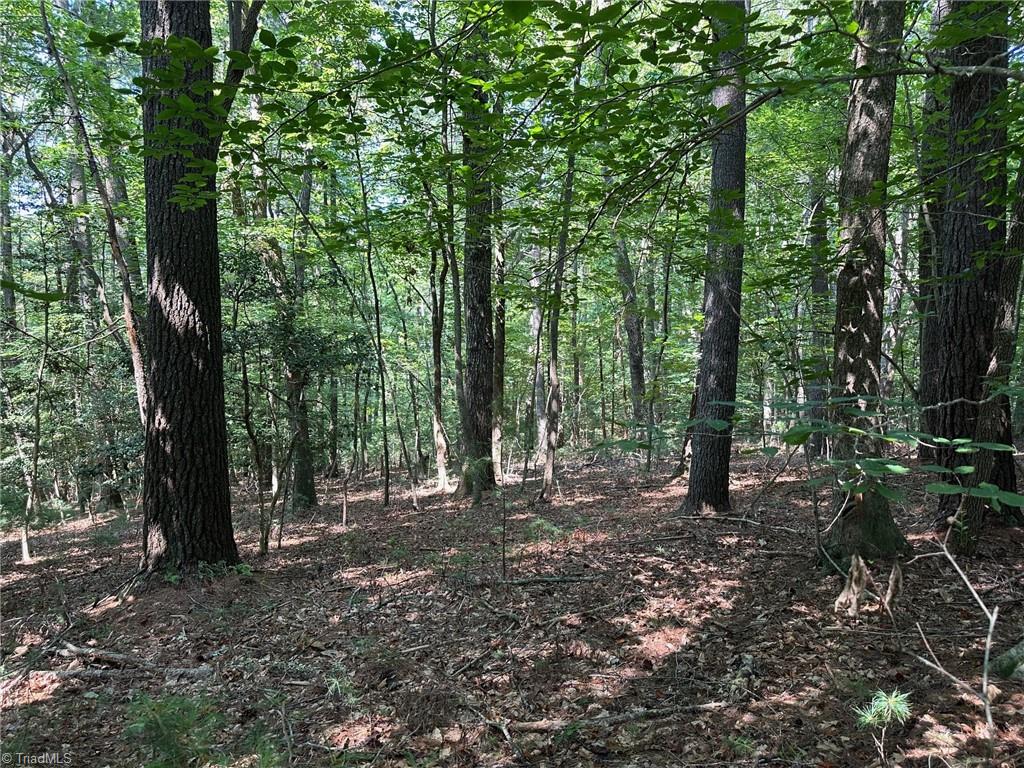 Tbd Malone Way Property Photo 14
