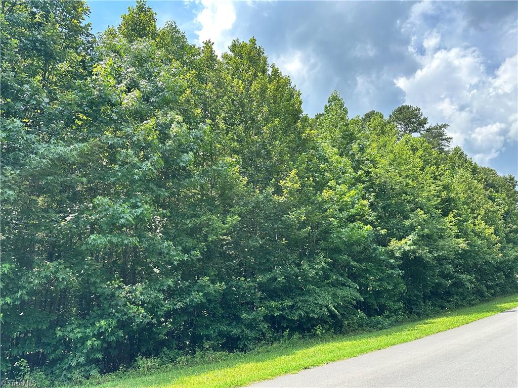 124 Kameron Court Property Photo 1