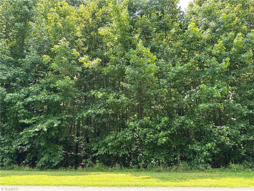 124 Kameron Court Property Photo 2