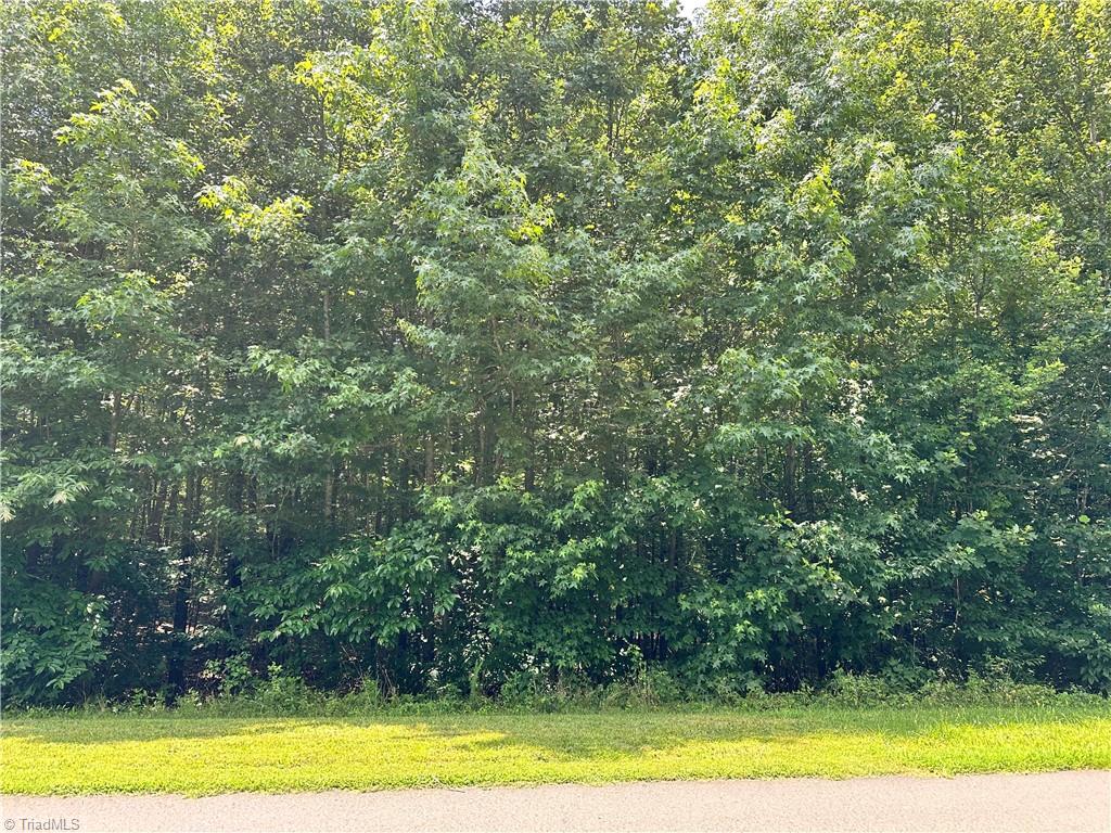 124 Kameron Court Property Photo 3