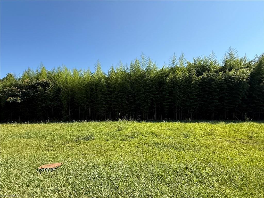 00 Us Highway 311 Property Photo 1