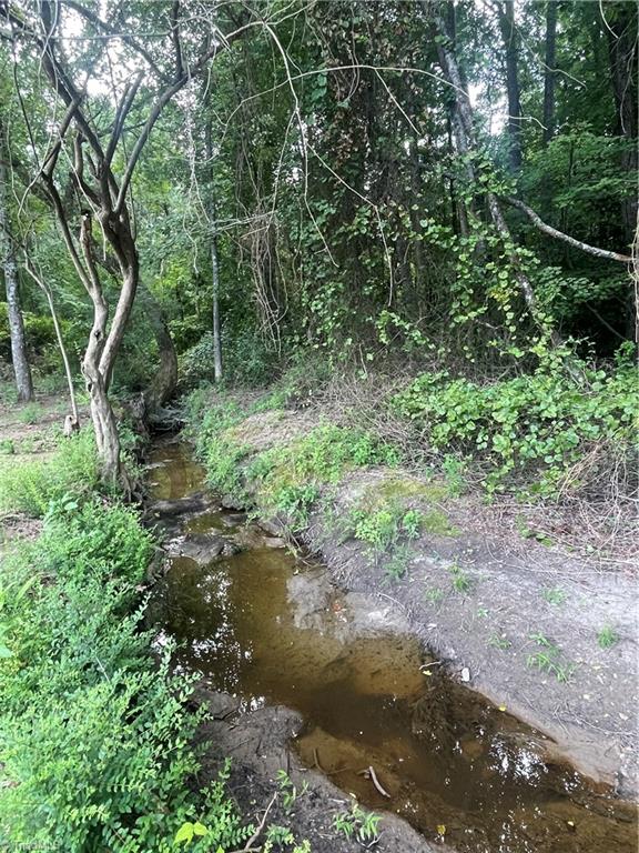 605 Piney Grove Road Property Photo 21