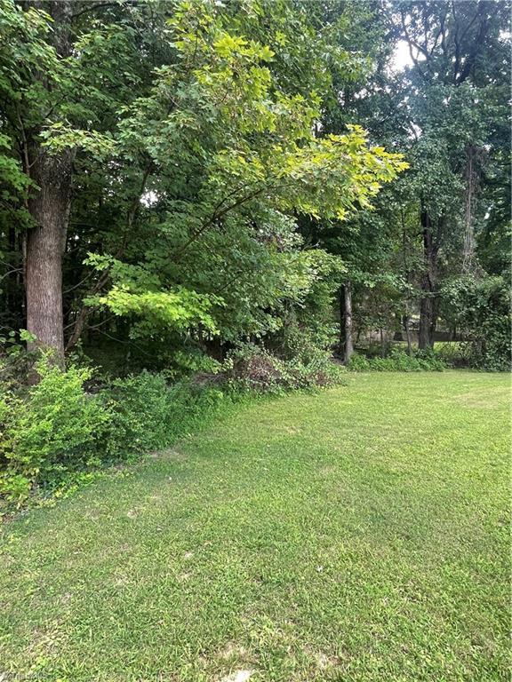 605 Piney Grove Road Property Photo 22