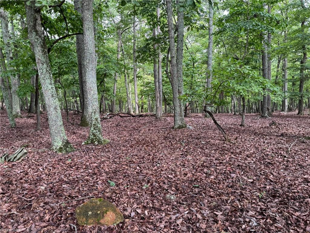 1695 Sierra Trace Road Property Photo 3