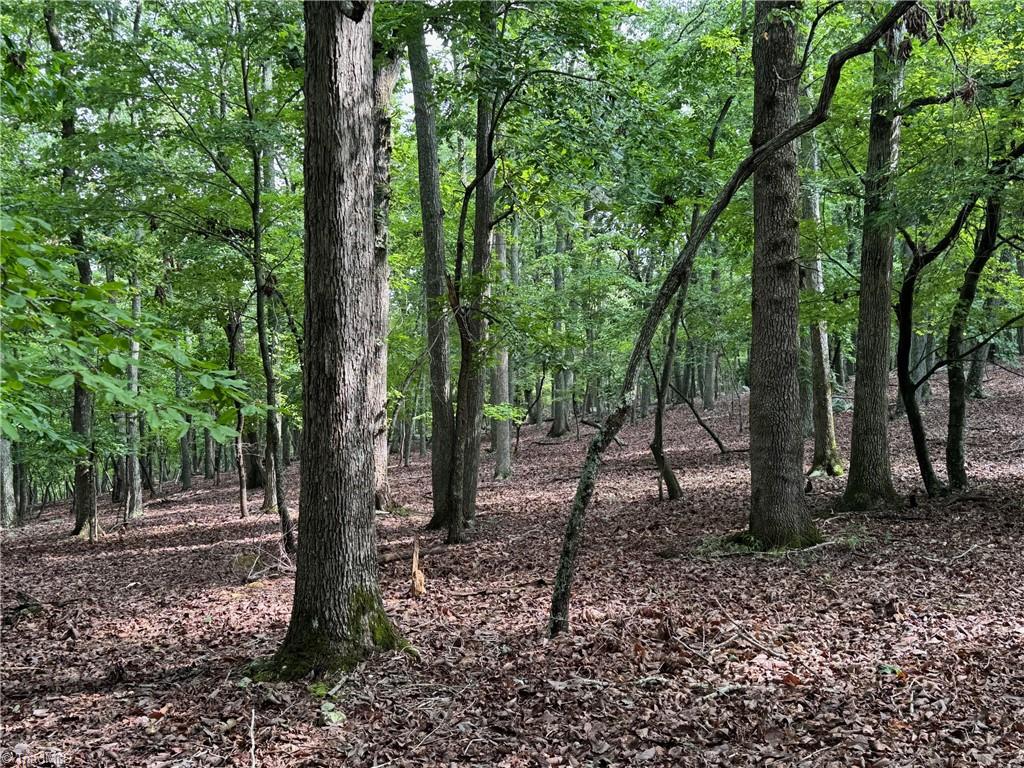 1695 Sierra Trace Road Property Photo 4