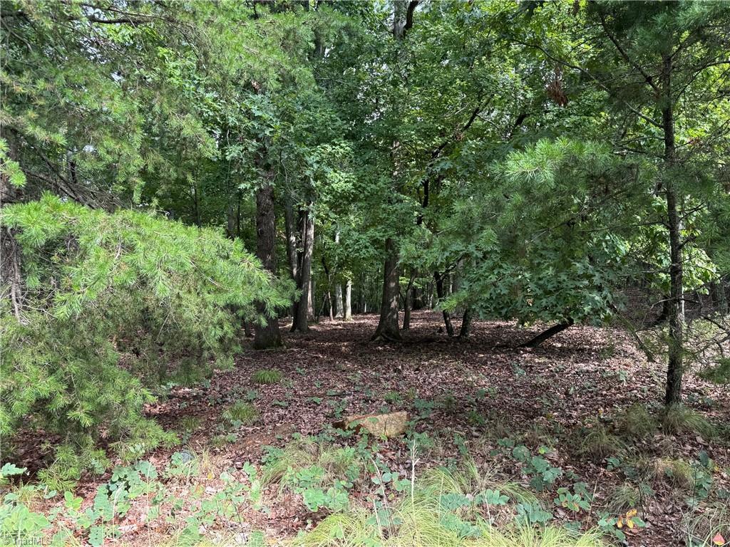 1695 Sierra Trace Road Property Photo 5