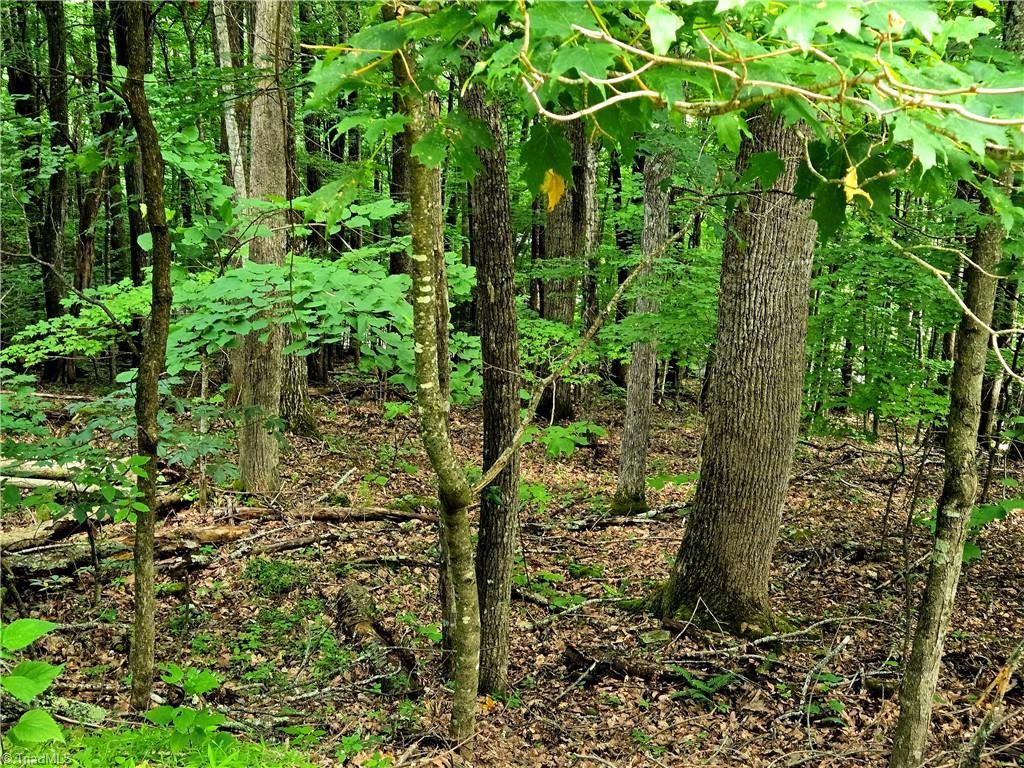 TBD Red Fox Trail Property Photo 1