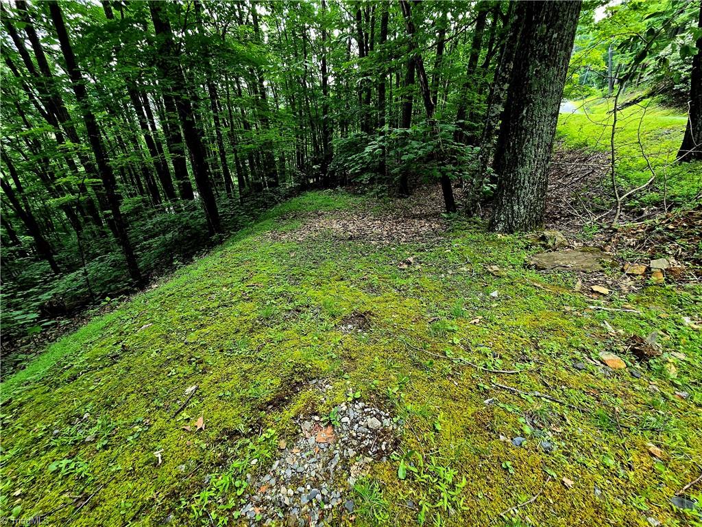 Tbd Red Fox Trail Property Photo 2