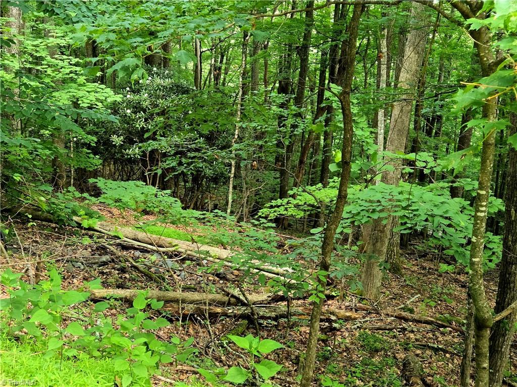Tbd Red Fox Trail Property Photo 3