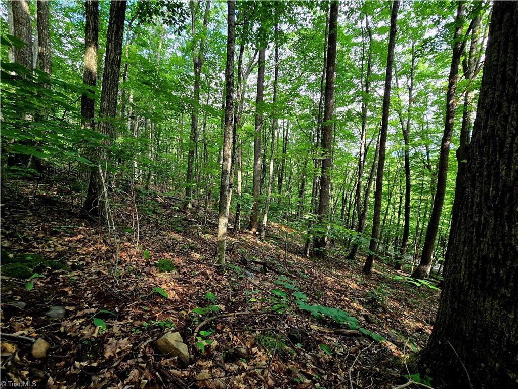 Tbd Red Fox Trail Property Photo 5