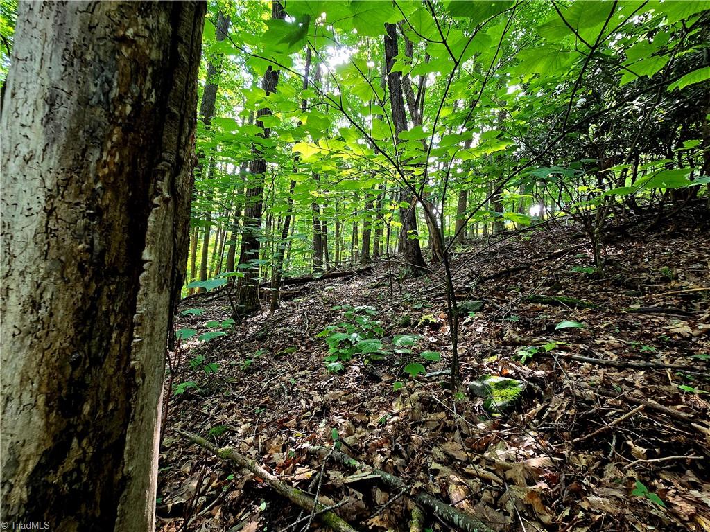 Tbd Red Fox Trail Property Photo 6