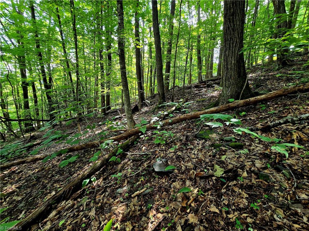 Tbd Red Fox Trail Property Photo 7