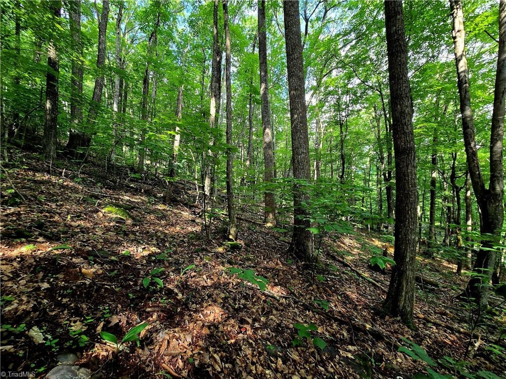 Tbd Red Fox Trail Property Photo 8