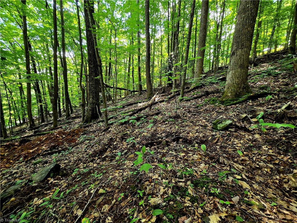 Tbd Red Fox Trail Property Photo 9