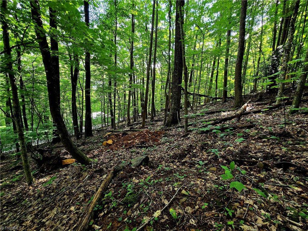 Tbd Red Fox Trail Property Photo 10