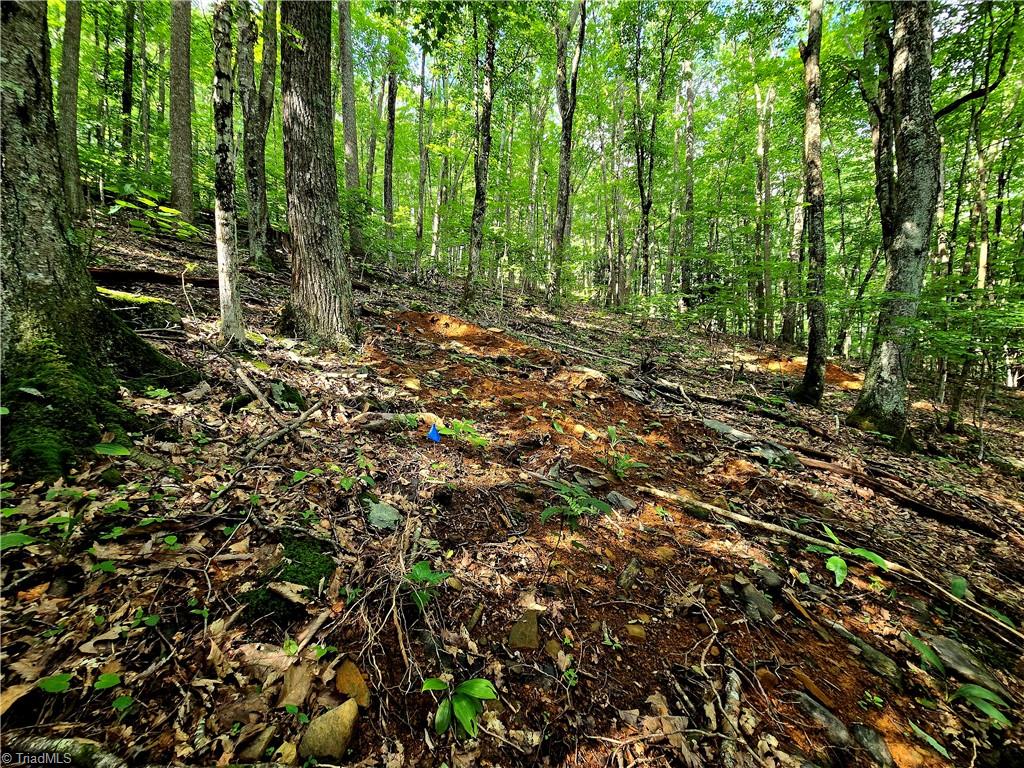 Tbd Red Fox Trail Property Photo 11