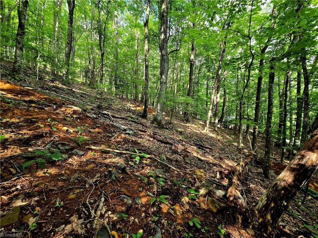 Tbd Red Fox Trail Property Photo 12