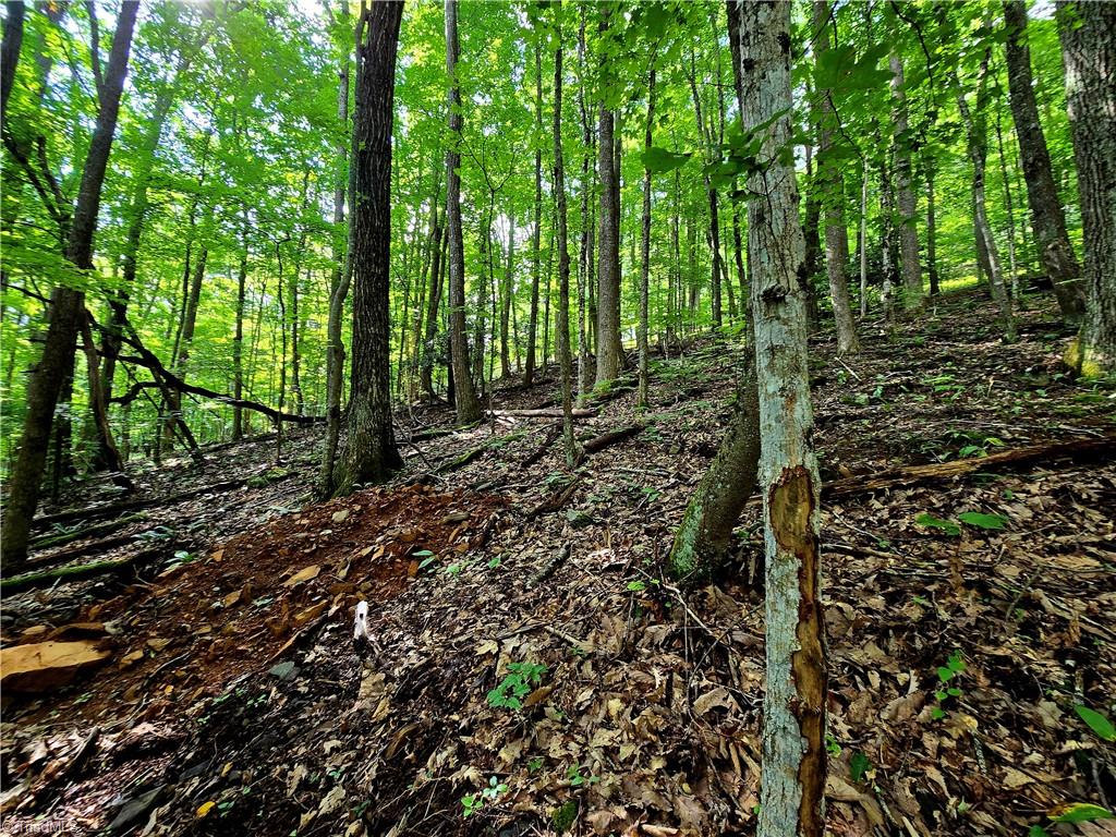 Tbd Red Fox Trail Property Photo 13