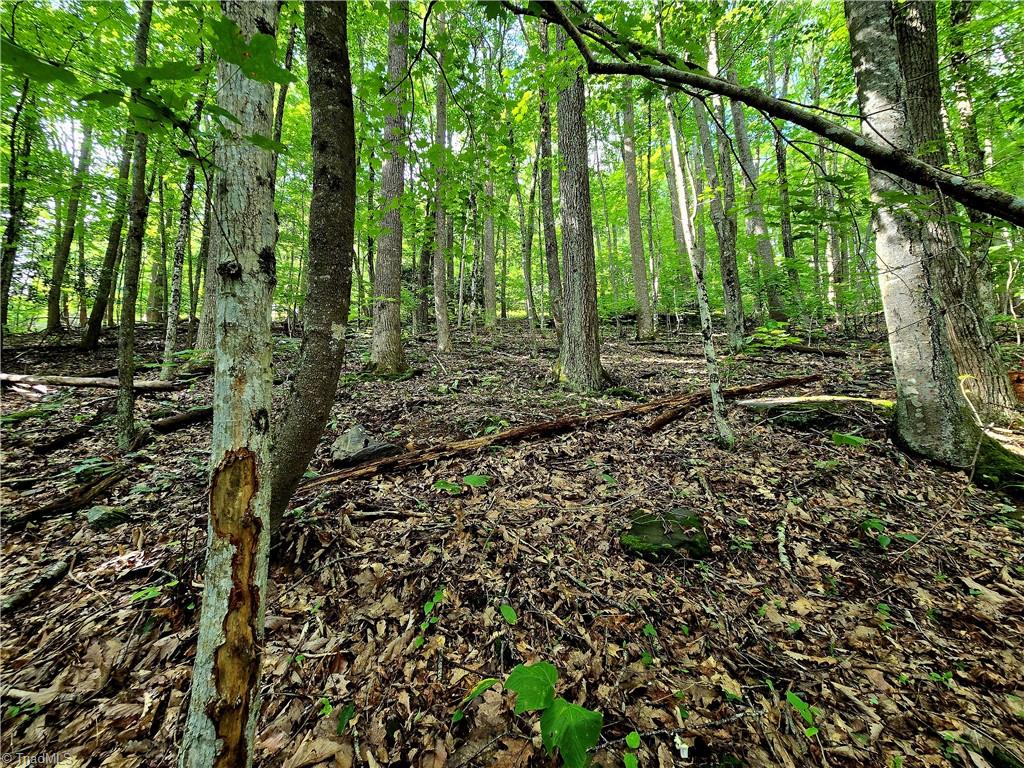Tbd Red Fox Trail Property Photo 14